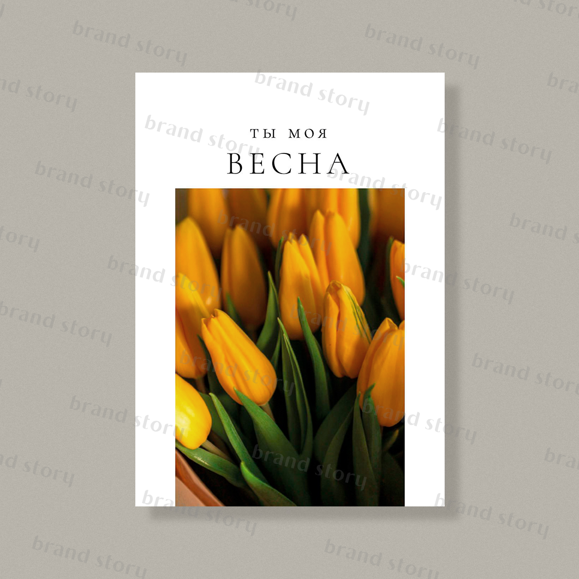 Открытка С170 (10 шт.) 7 х 10 см