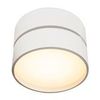 Потолочный светильник Technical Onda C024CL-L18W