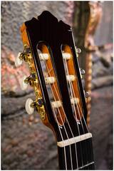 Гитара классическая 4/4 PEREZ 650 Cedar