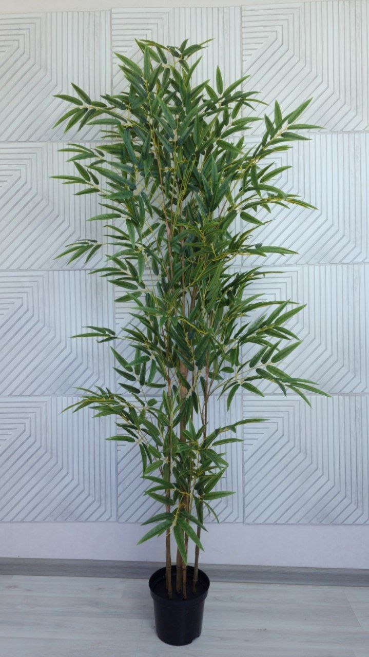 Бамбук 180 см в тех.кашпо – купить за 4 900 ₽ | Искусственные растения ...