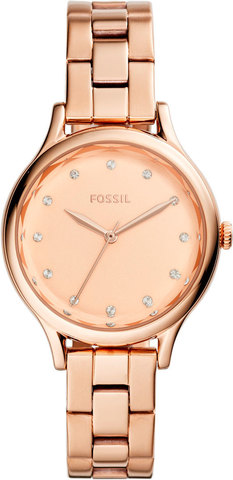 Наручные часы Fossil BQ3321 фото