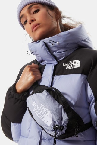 Картинка сумка поясная The North Face Bozer Hip Pack III S Swtlvndr - 3