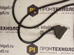 PAN-INTERNATIONAL W815397050103A04