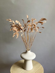 Хасмантиум бежевый