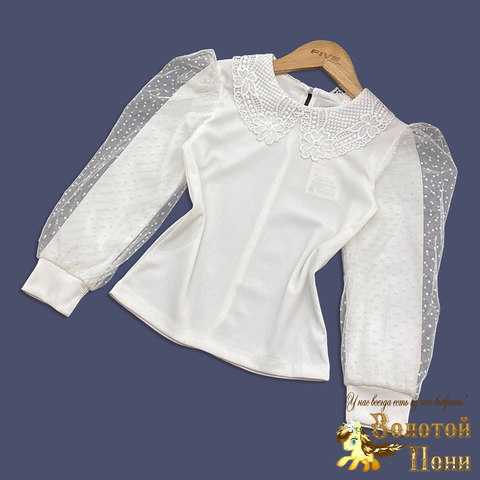 Блуза трикотаж д (8-12) 250623-SH540