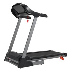 Беговая дорожка Larsen Newtone Е1510M