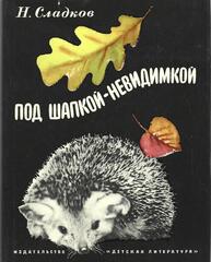 Под шапкой-невидимкой