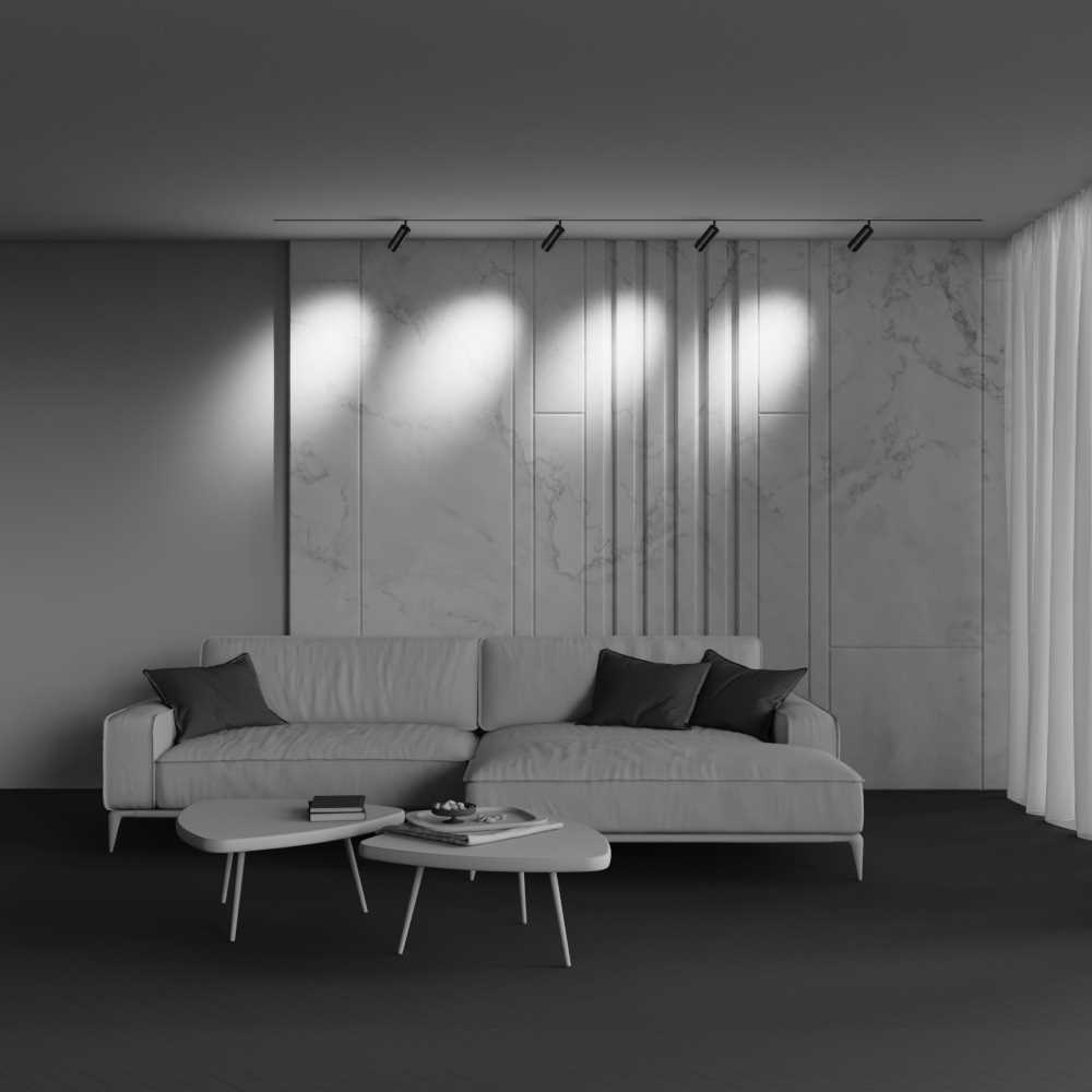 Трековый светильник Maytoni Technical TR212-4-12WTW-Z-DSZ-B
