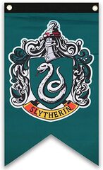 Bayraq \Флаг\Flag Harry Potter Slytherin