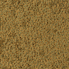 TETRAPleco Veggie Wafers (пластинки) корм для сомиков и 