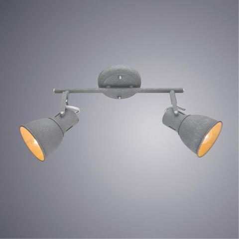 Потолочный светильник Arte Lamp JOVI A1677PL-2GY