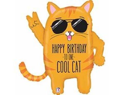 Фольгированный шар HB TO ONE COOL CAT Кот