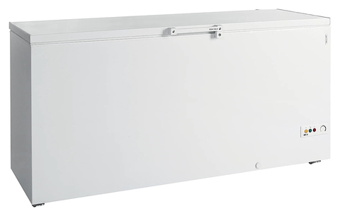 Ларь морозильный TEFCOLD FR605 SL