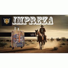 Чемодан ткань (гобелен карман) Impreza коричневый 