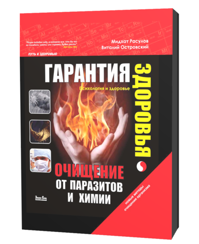 ЭЛЕКТРОННАЯ КНИГА 