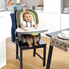 Bright Starts InGenuity Стульчик для кормления 3 в 1 (60352)