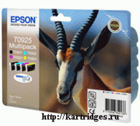 Картридж Epson T09254A10 / T10854A10