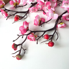 Сливы цветущей ветка, Розовый цвет, длина 60 см, набор 2 ветки