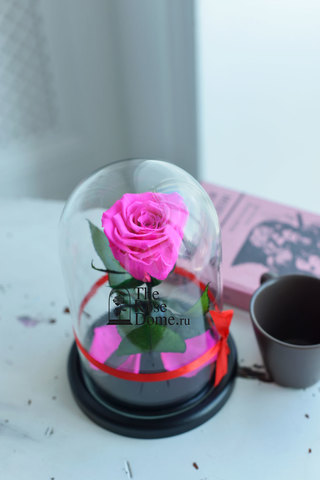 Роза в колбе мини ярко-розовая