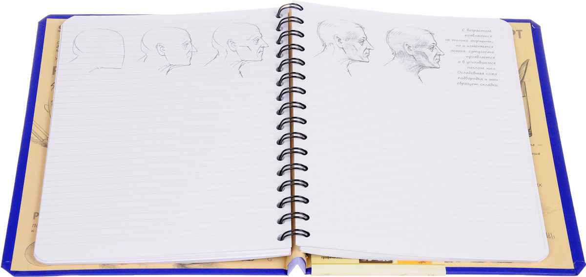 «Sketchbook. Рисуем человека» за 590 ₽ – купить за 590 ₽ в интернет ...