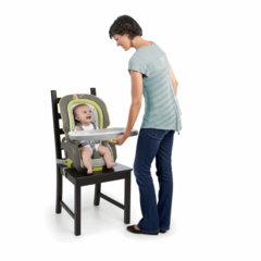 Bright Starts InGenuity Стульчик для кормления 3 в 1 (60352)