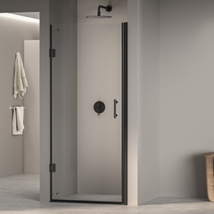 RGW 41080609-54 Душевая дверь PA-06B  90*195 фото