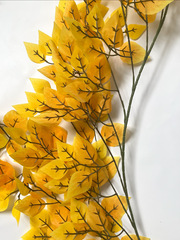 Береза - лиана, гирлянда, ампельное растение, осенний декор, оранжевая, длина 2 метра,более 380 листочков, 1 шт.