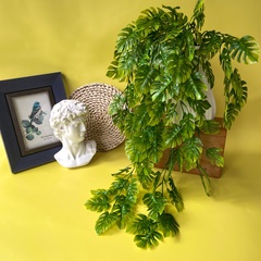 Зелень Монстеры ампельной, свисающая зелень, евро пластик, 72 см, набор 2 шт.