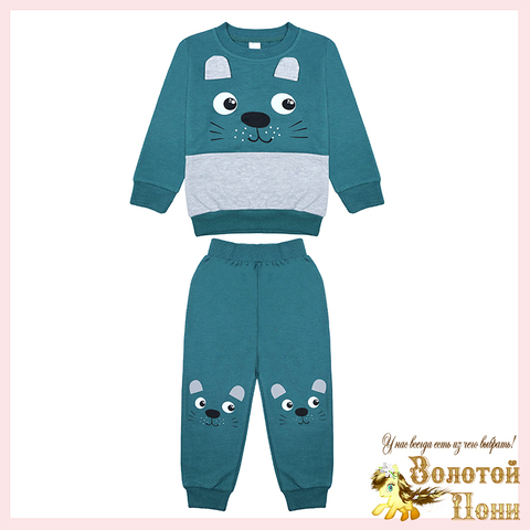Костюм хл/начес м (2-6) 251002-BK1584КР.3