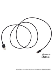 Кабель USB-C для Bang Olufsen Beoplay A1, A2, Beolit 17