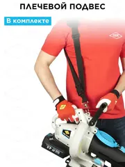 Воздуходув аккумуляторный DDE BlueTech VBB 2740 (590 м3/ч, 52 м/с, измельчитель, сборник, акб 4 Ач + ЗУ 5А) (925-044)