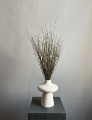 Вереск зеленый