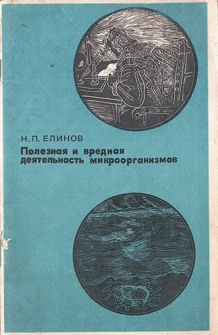 Полезная и вредная деятельность микроорганизмов