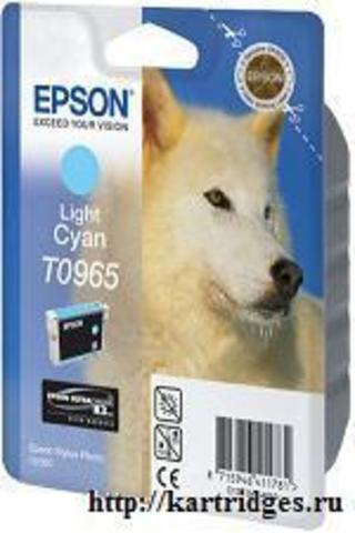 Картридж Epson T09654010