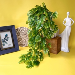 Зелень Монстеры ампельной, свисающая зелень, евро пластик, 72 см, набор 2 шт.