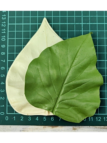 Молд пластиковый лист сирени 12,8х10,5см