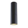 Потолочный светильник Technical Dafne C027CL-L10B