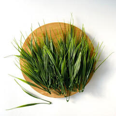 Осока трава искусственная, Зеленая, Реалистичная, 14,5 см, набор 100 двойных веточек.