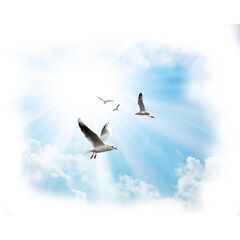 Панель потолочная ПВХ Novita 3D Чайки