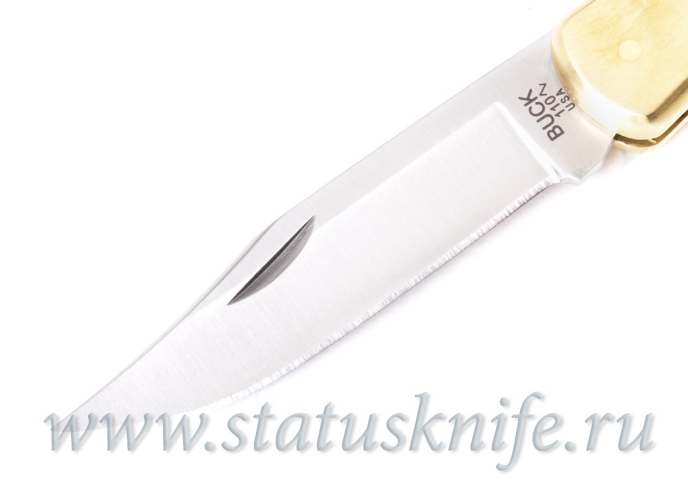 Нож BUCK 0110BRS2BOTM-B January 2025 Buck Of The Month LTD