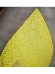 Молд пластиковый 