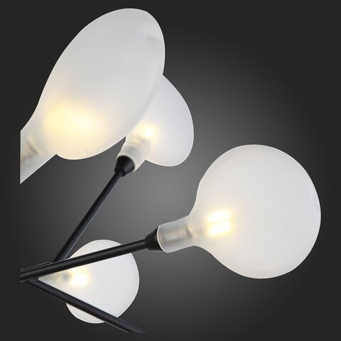 Люстра подвесная ST Luce Riccardo SL411.423.45