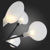Люстра подвесная ST Luce Riccardo SL411.423.45