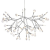Люстра Heracleum Silver D98
