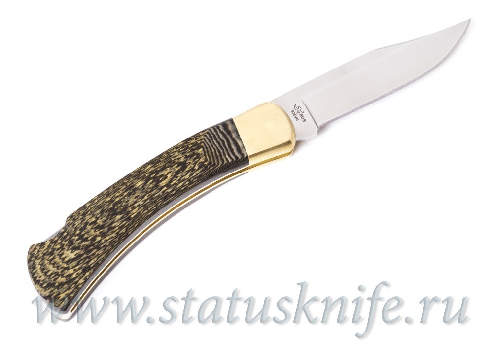 Нож BUCK 0110BRS2BOTM-B January 2025 Buck Of The Month LTD