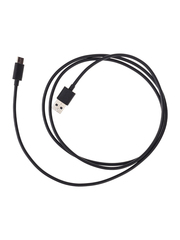 Кабель USB-C для Bang Olufsen Beoplay A1, A2, Beolit 17