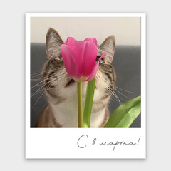 Фото-карточка 