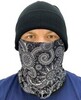 Картинка шарф-труба Skully Wear Tube fleece paisley S120 - 1