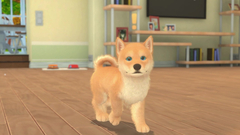 My Universe - Puppies & Kittens (для ПК, цифровой код доступа)