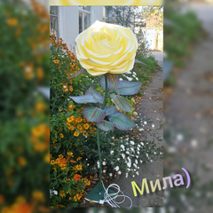 Нежная